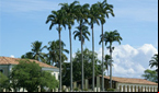 Cidade baiana tem o maior PIB per capita do Brasil