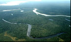 Amazônia tem a menor taxa de desmatamento da história